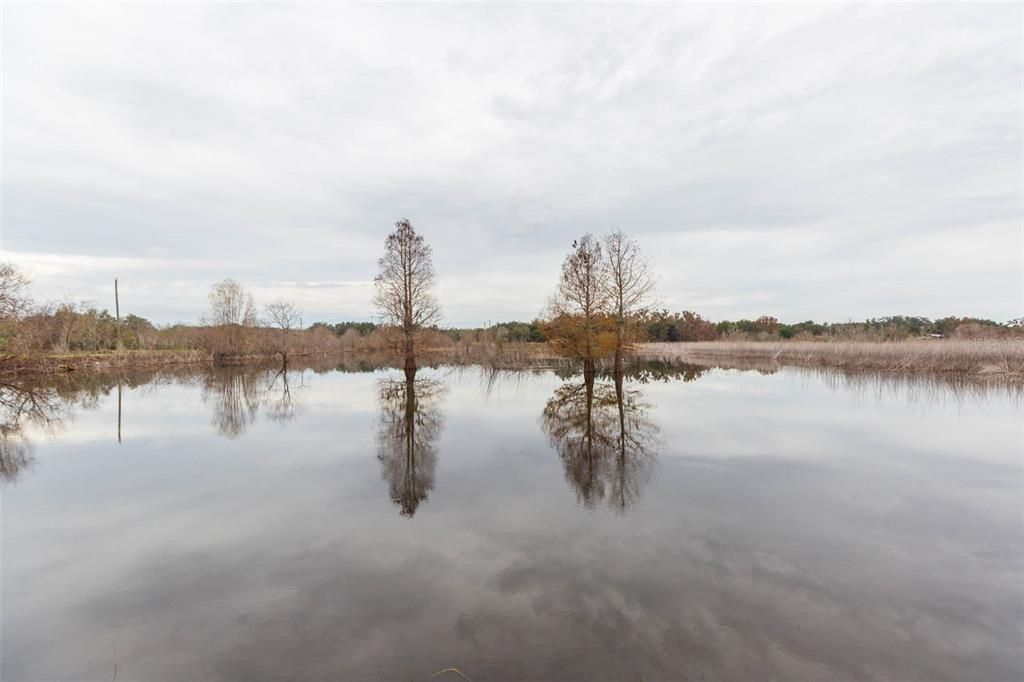 For Sale: $249,900 (3 beds, 2 baths, 1568 Square Feet)