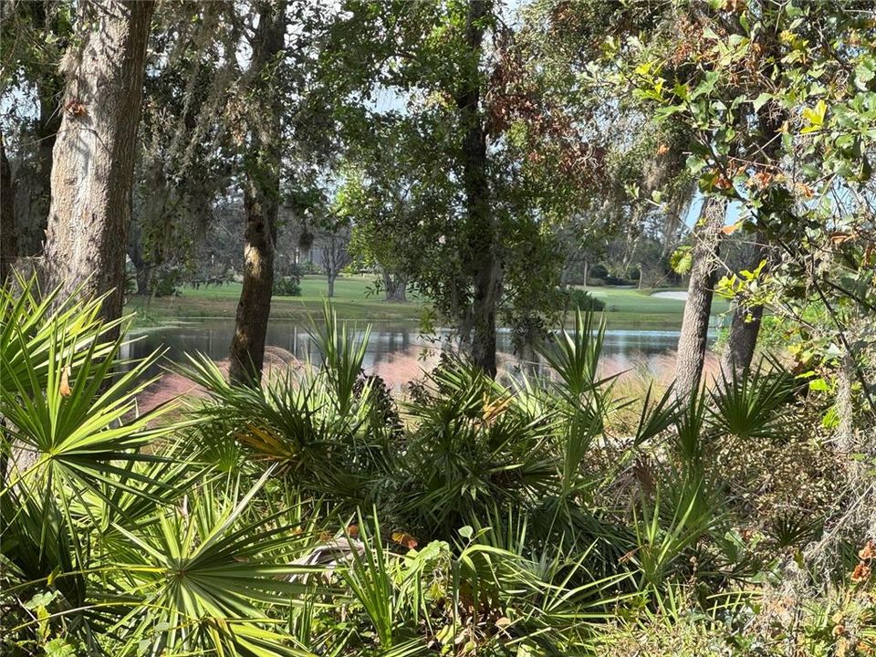 En Venta: $1,449,000 (3 camas, 3 baños, 3295 Pies cuadrados)