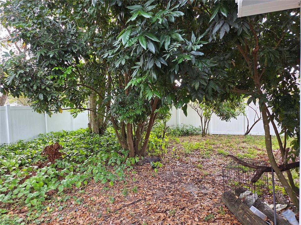 En Renta: $2,000 (3 camas, 2 baños, 1584 Pies cuadrados)