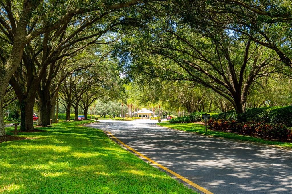 待售: $275,000 (3 贝兹, 2 浴室, 1550 平方英尺)