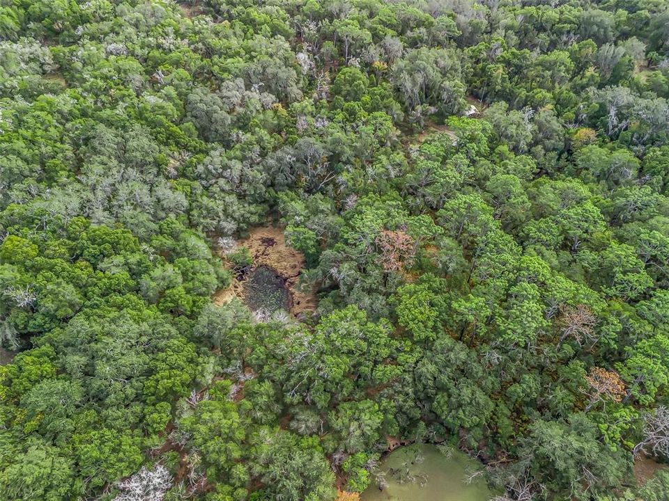 For Sale: $999,000 (19.00 acres)