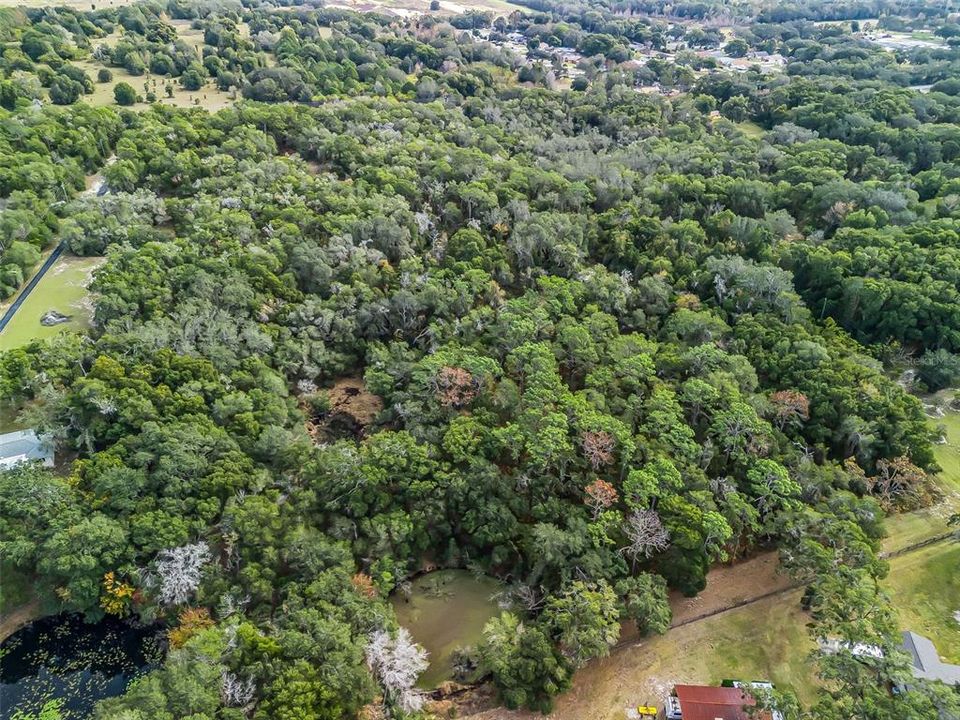 For Sale: $999,000 (19.00 acres)