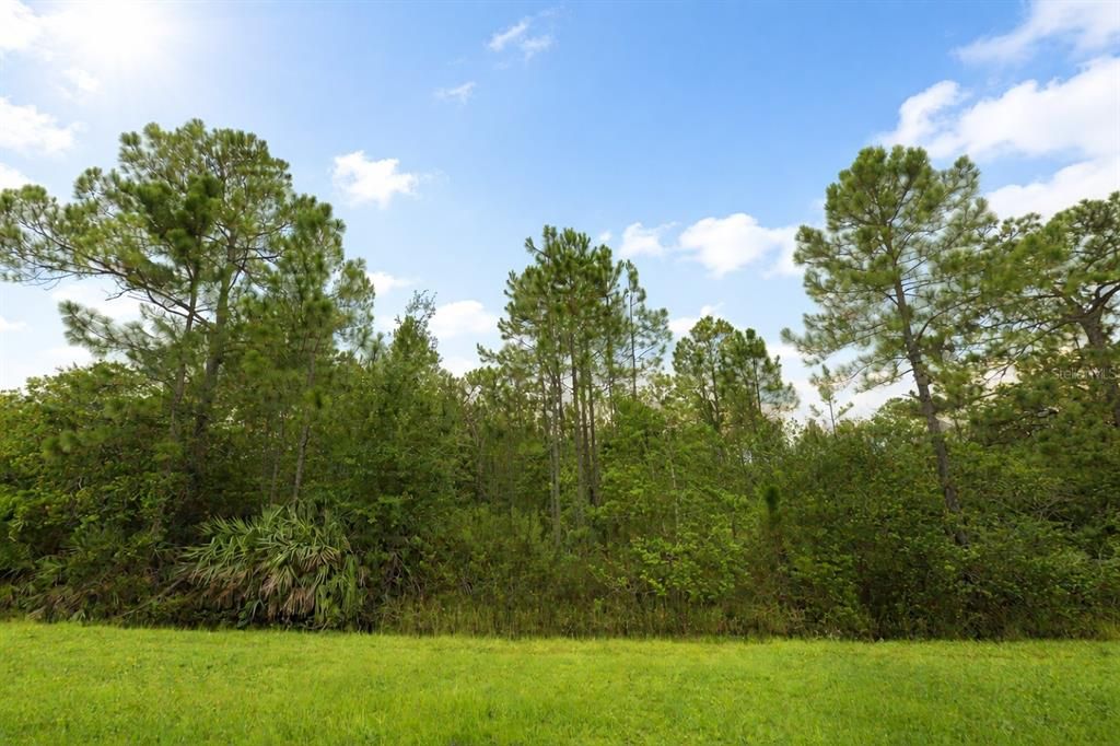 En Venta: $140,000 (0.92 acres)