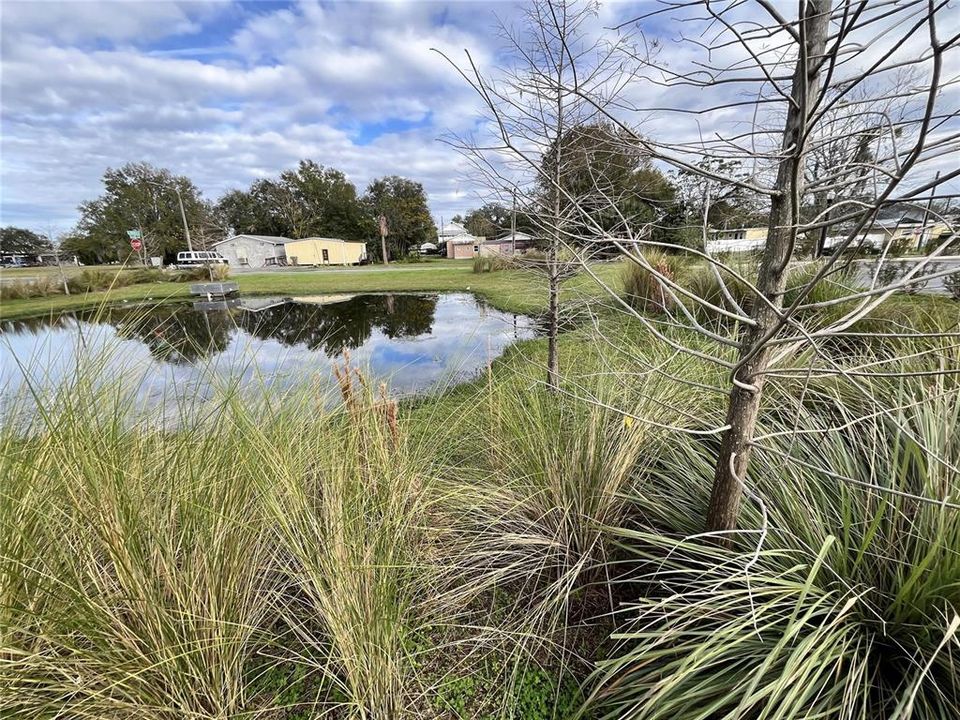 出租: $800 (2 贝兹, 1 浴室, 575 平方英尺)