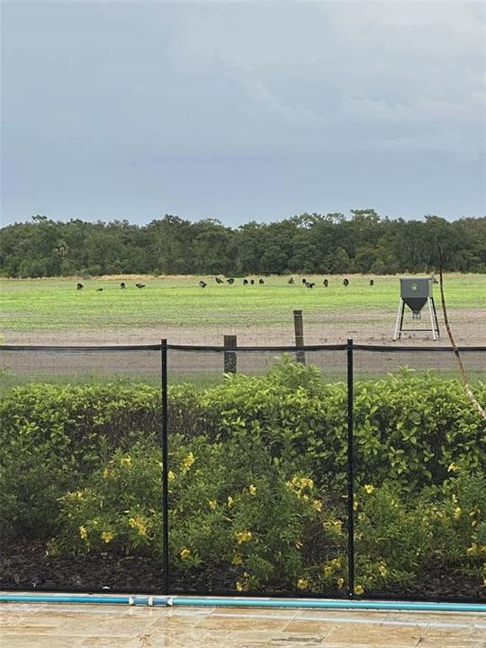 En Venta: $1,750,000 (3 camas, 2 baños, 2990 Pies cuadrados)