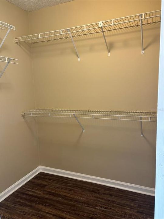 出租: $1,800 (2 贝兹, 2 浴室, 1182 平方英尺)