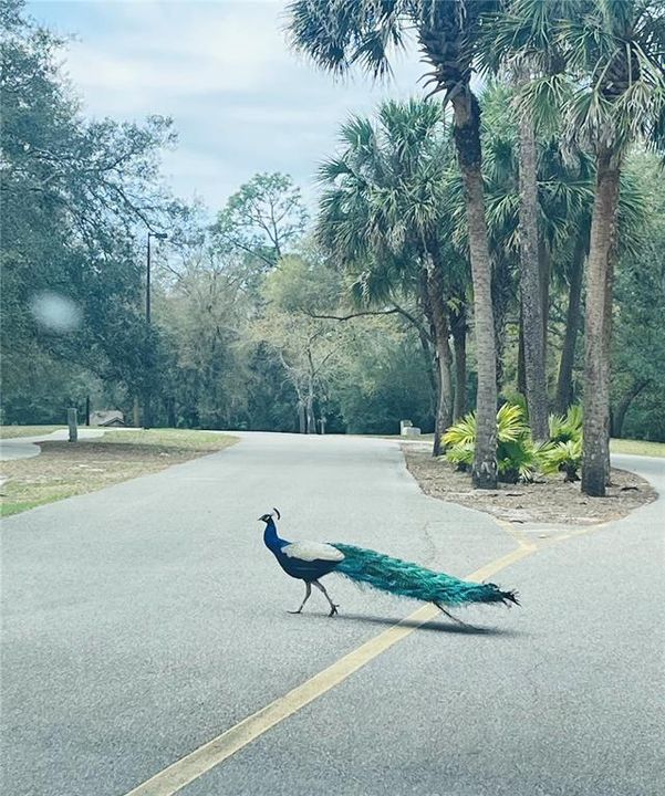 For Sale: $190,000 (2 beds, 2 baths, 1143 Square Feet)