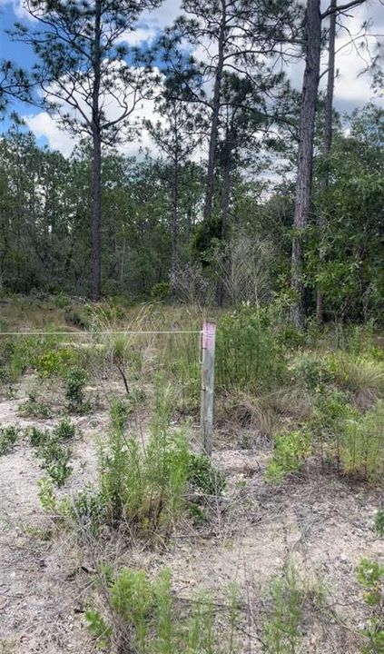 На продажу: $39,000 (1.00 acres)