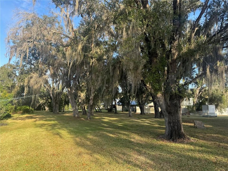 For Sale: $49,500 (0.53 acres)