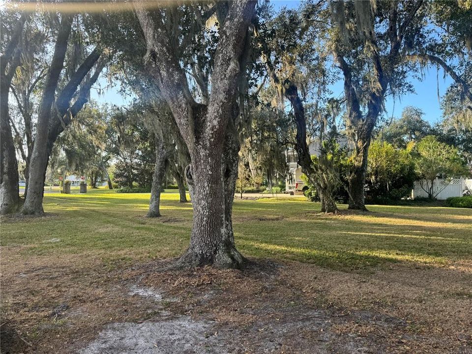 For Sale: $49,500 (0.53 acres)