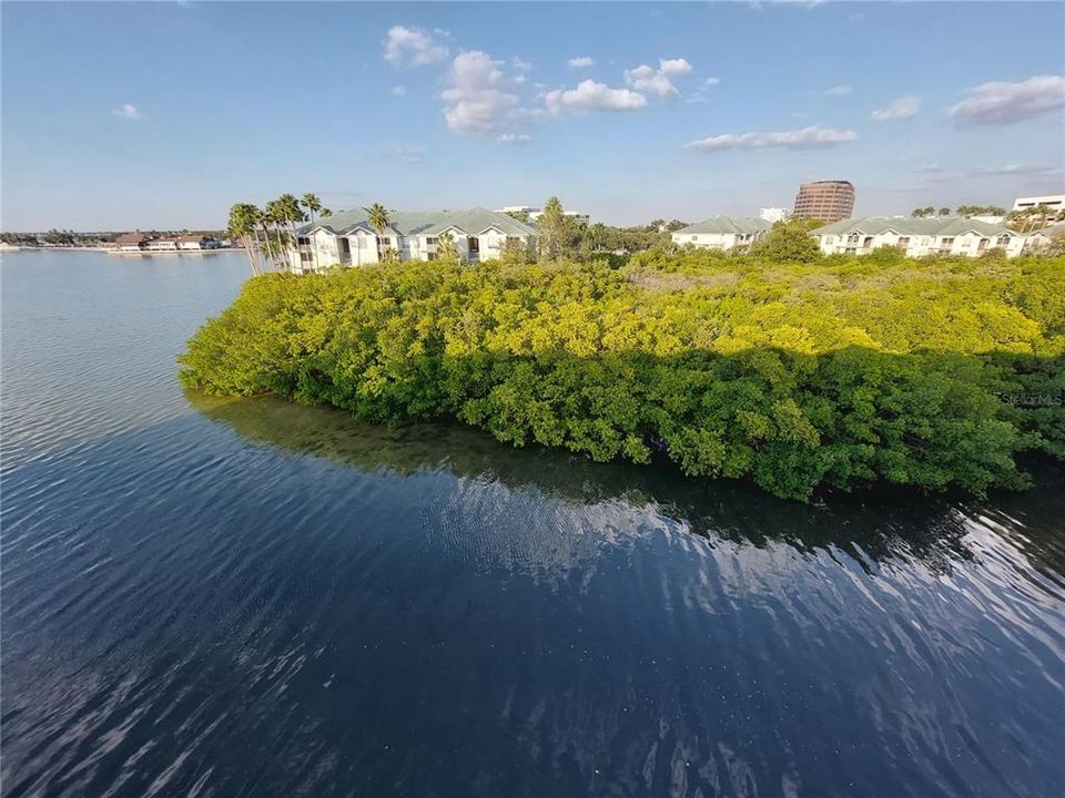 В аренду: $2,750 (1 спален, 1 ванн, 516 Квадратных фут)