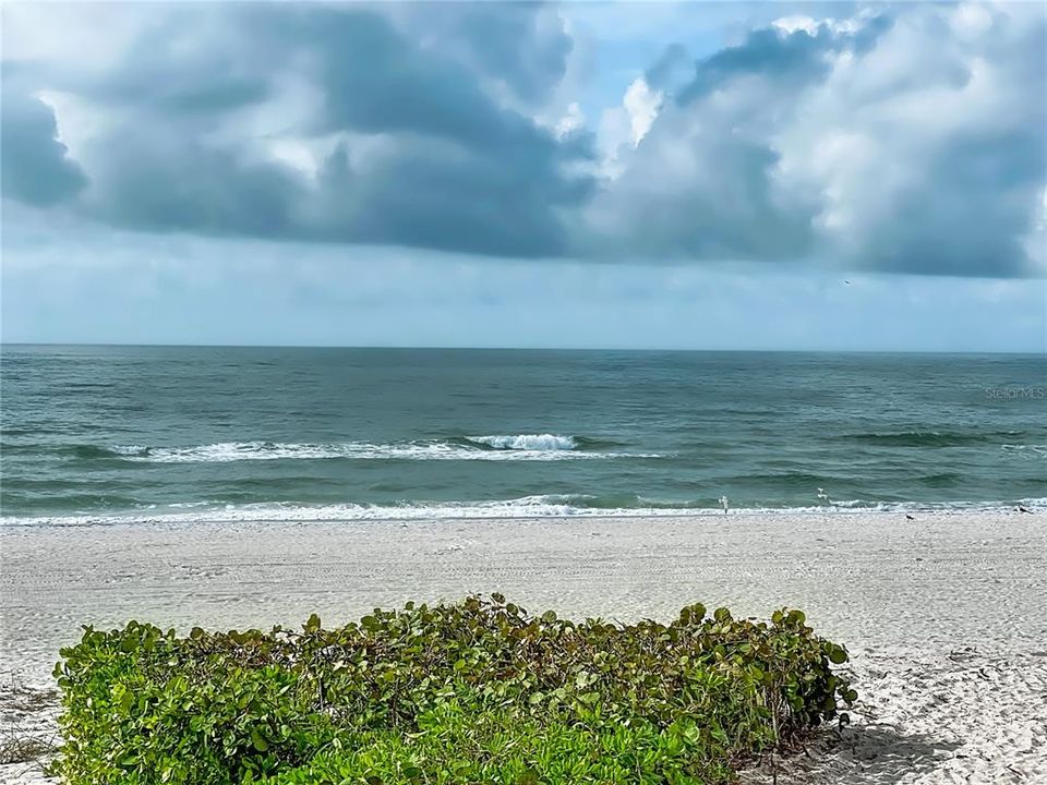 For Sale: $2,299,000 (3 beds, 2 baths, 1830 Square Feet)