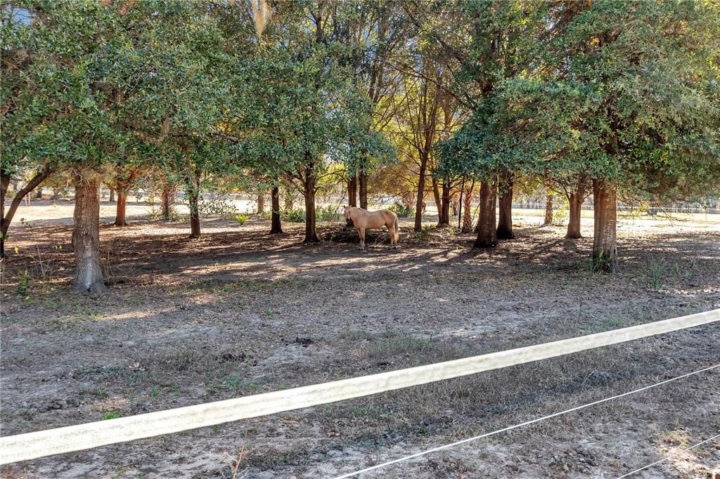 For Sale: $835,000 (24.00 acres)