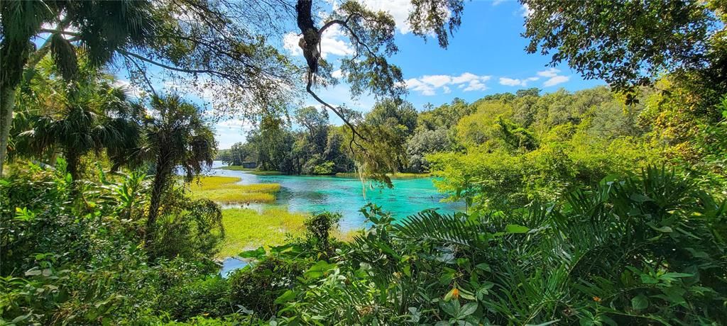 For Sale: $835,000 (24.00 acres)