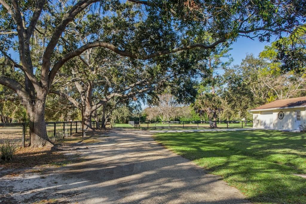 En Venta: $725,000 (3.37 acres)