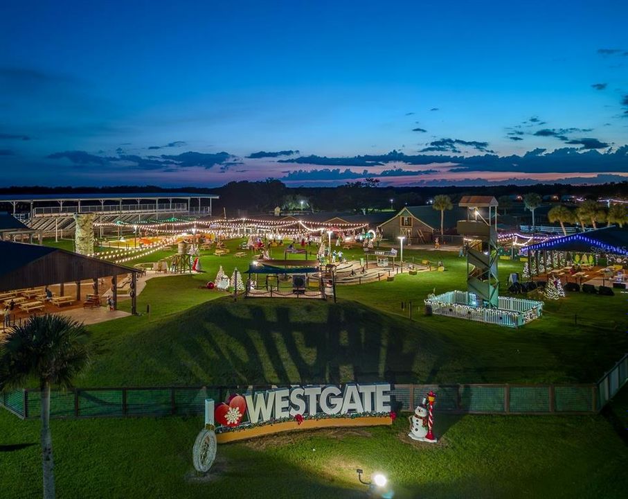 待售: $220,000 (0.09 acres)