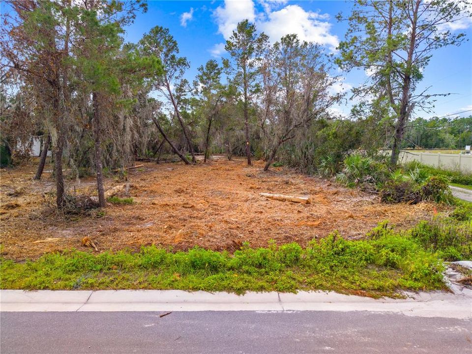 For Sale: $215,000 (1.06 acres)