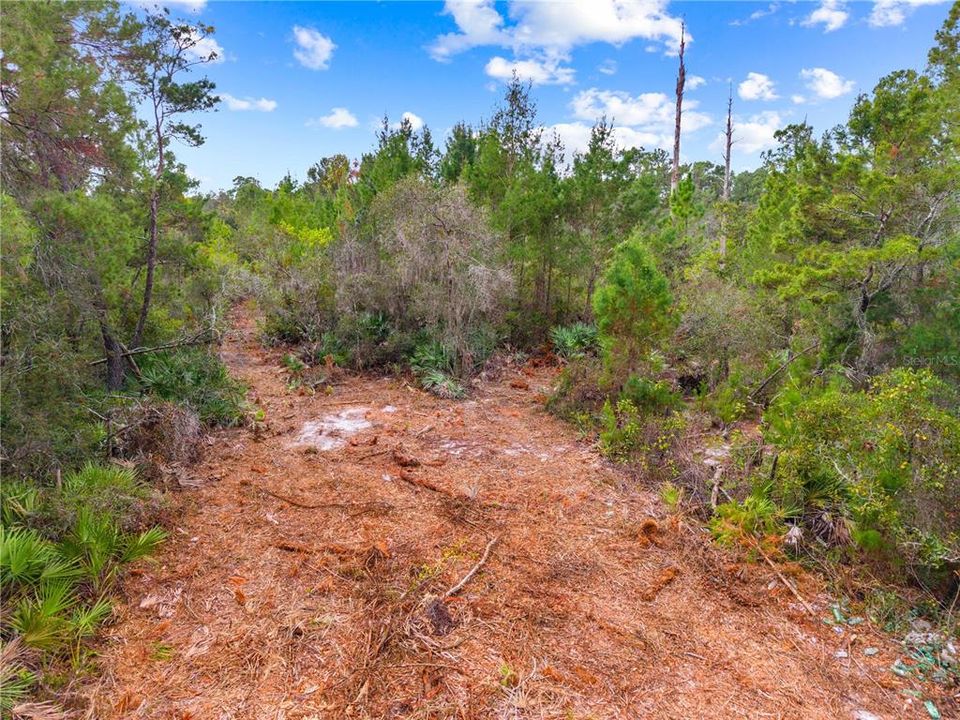 For Sale: $215,000 (1.06 acres)