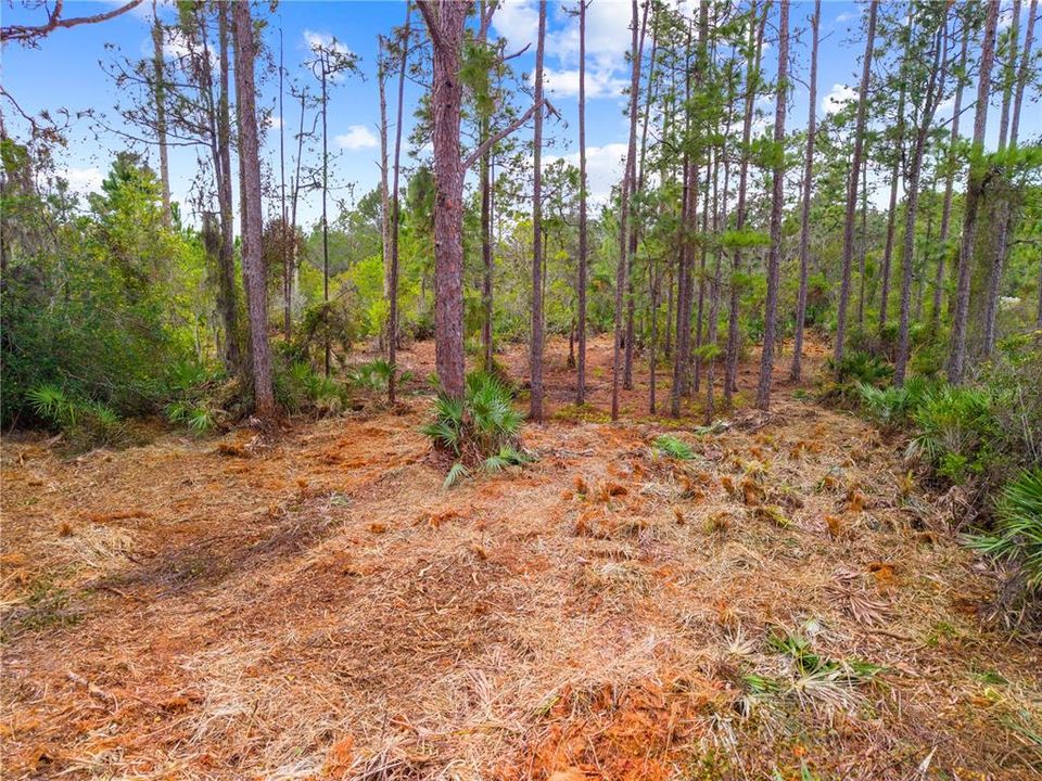 For Sale: $215,000 (1.06 acres)