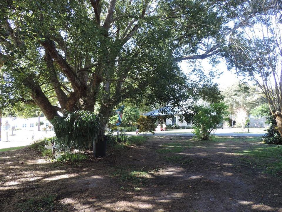 待售: $125,000 (0.30 acres)