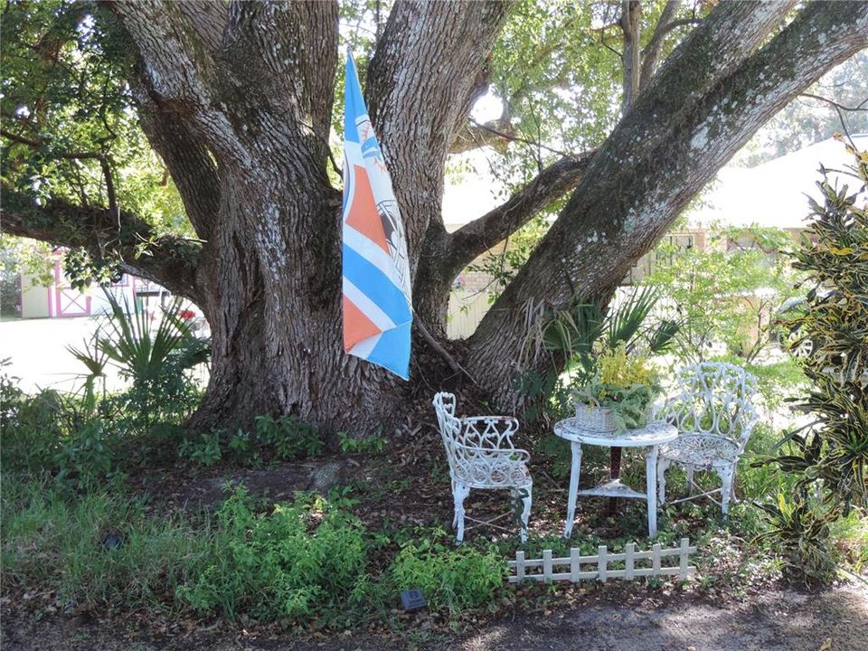 待售: $125,000 (0.30 acres)