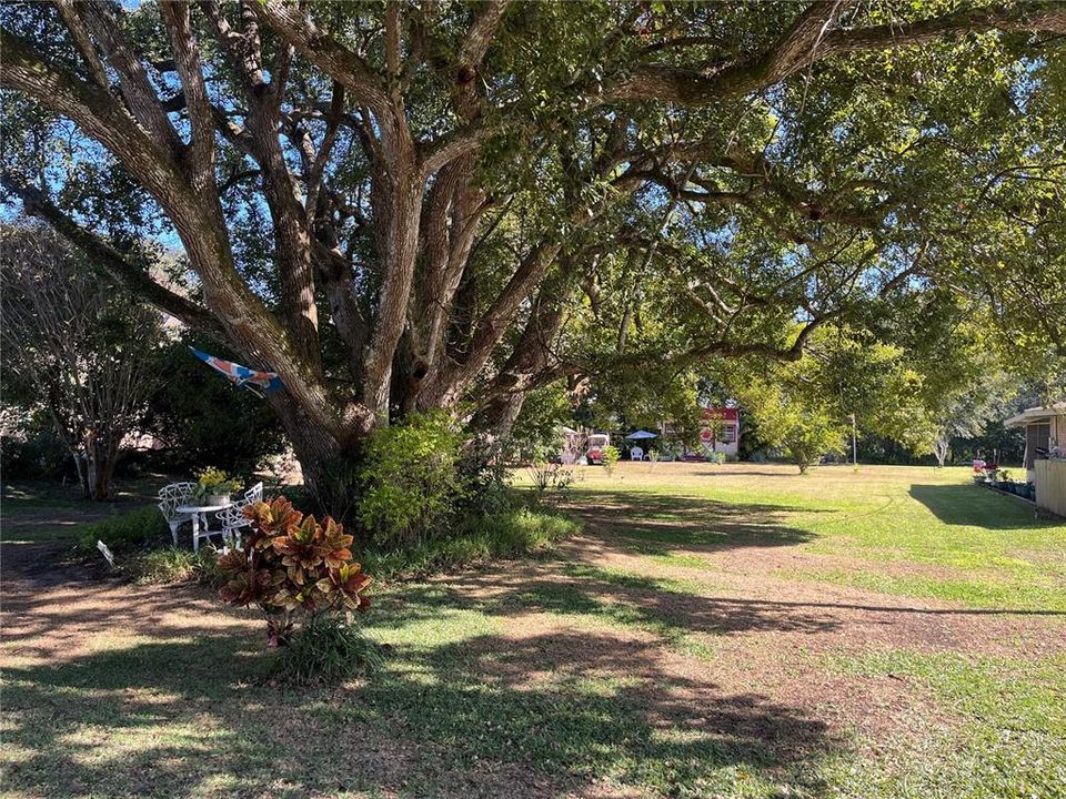 待售: $125,000 (0.30 acres)