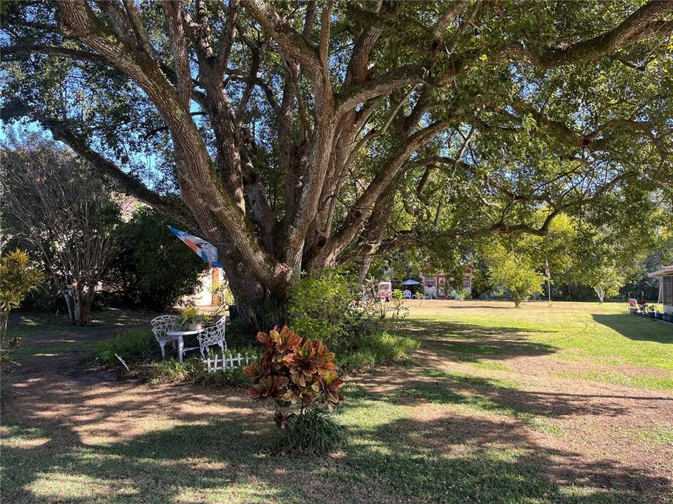 待售: $125,000 (0.30 acres)