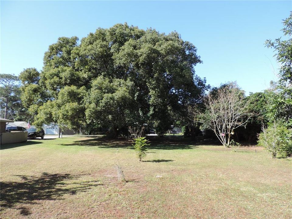 待售: $125,000 (0.30 acres)