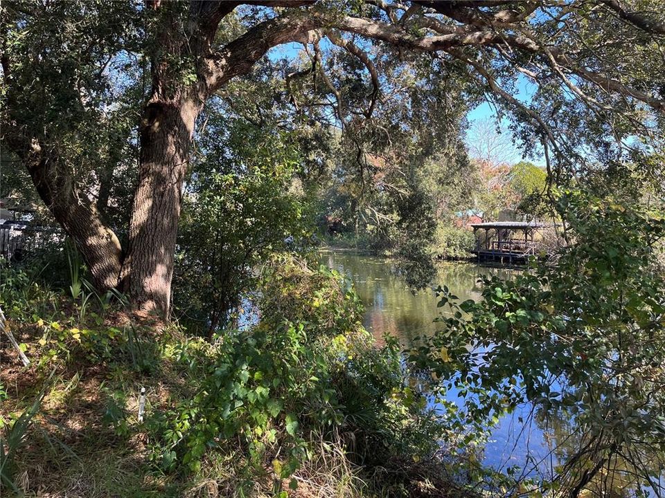 待售: $125,000 (0.30 acres)