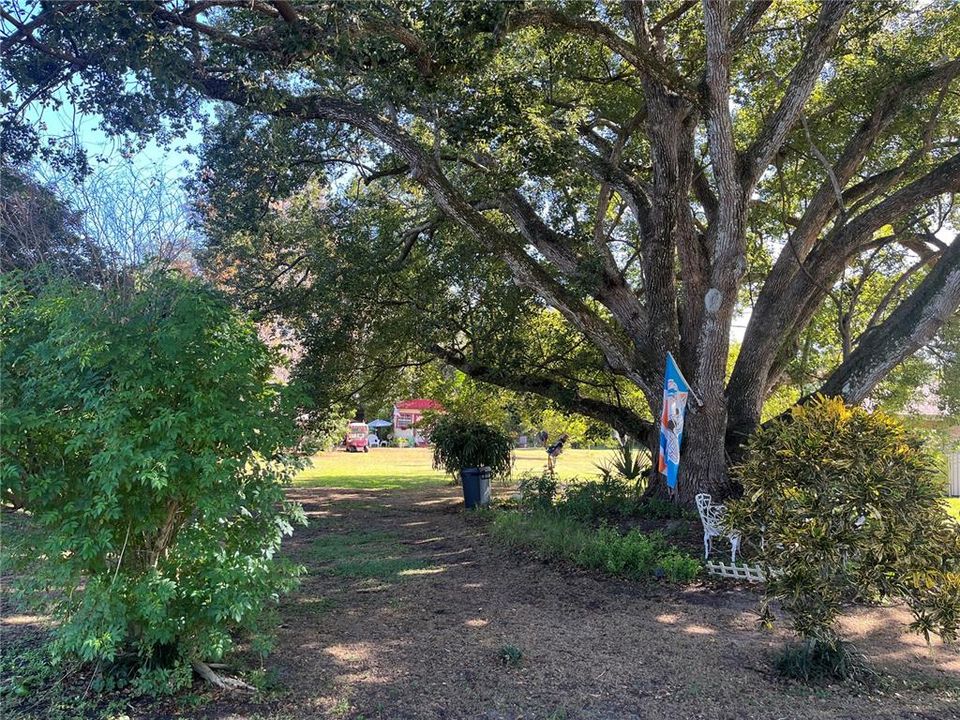 待售: $125,000 (0.30 acres)