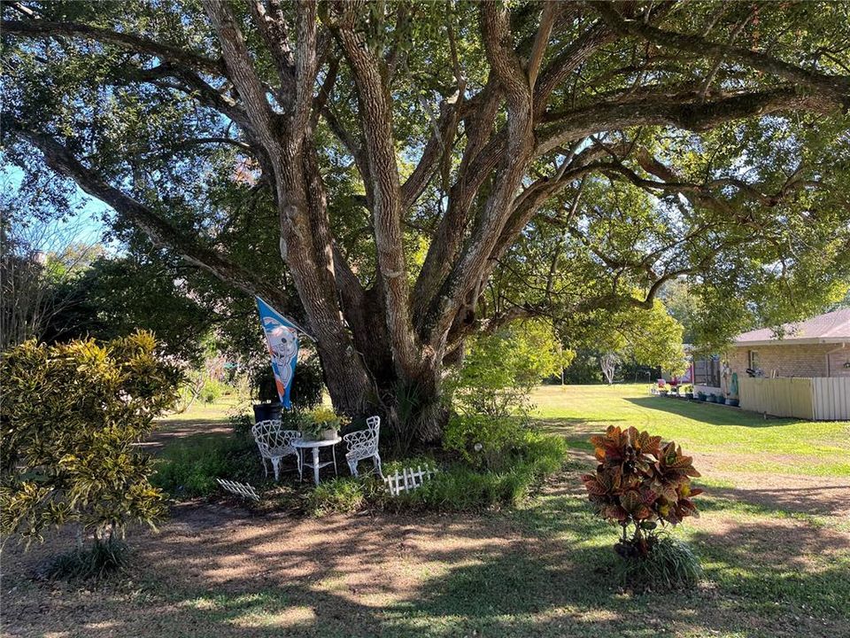 待售: $125,000 (0.30 acres)