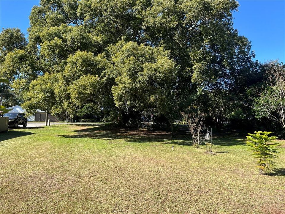 待售: $125,000 (0.30 acres)