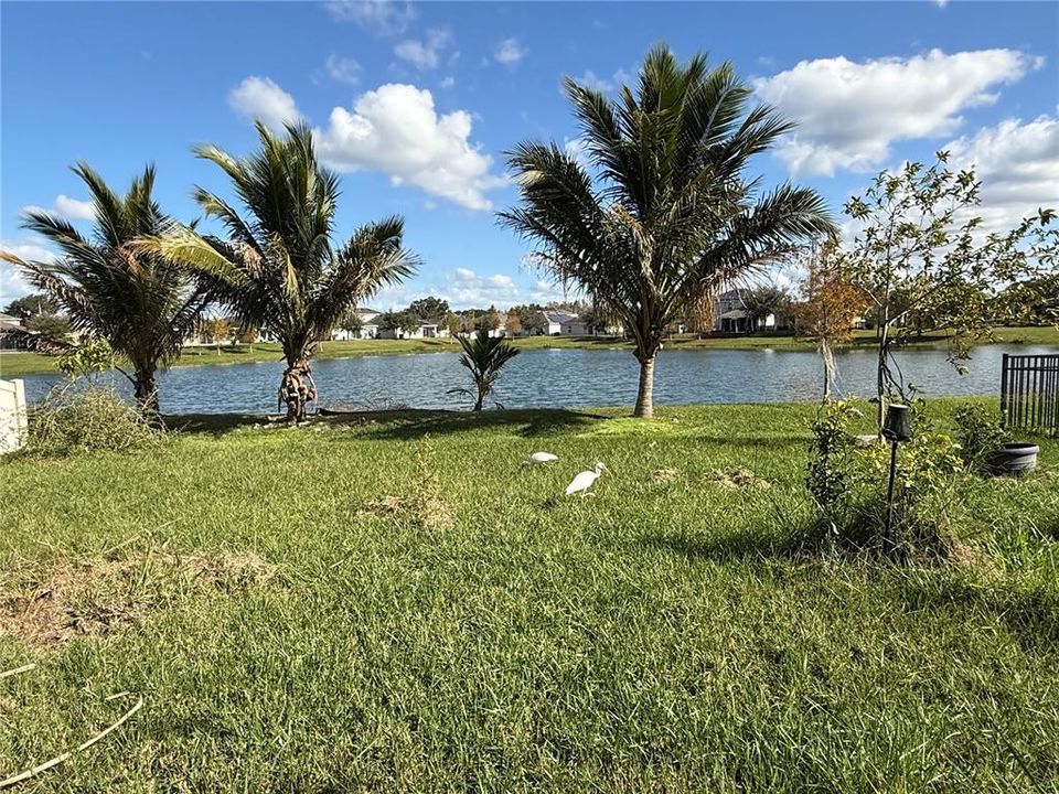 待售: $330,000 (4 贝兹, 2 浴室, 1816 平方英尺)