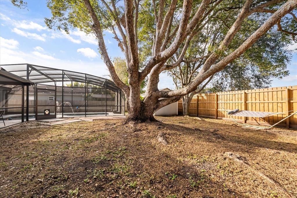 For Sale: $455,000 (3 beds, 2 baths, 1396 Square Feet)