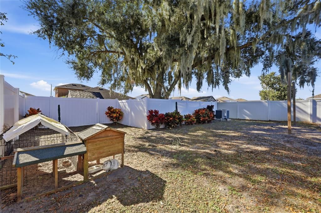 For Sale: $355,000 (4 beds, 2 baths, 1704 Square Feet)