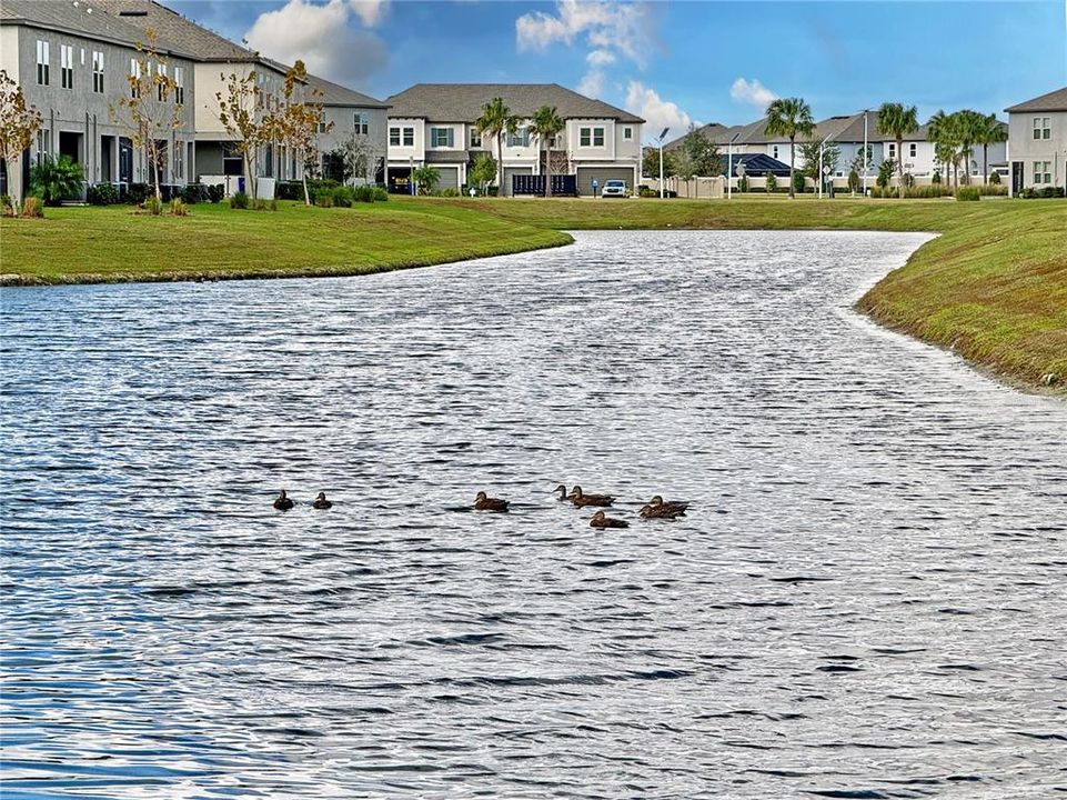 For Sale: $299,000 (3 beds, 2 baths, 1760 Square Feet)