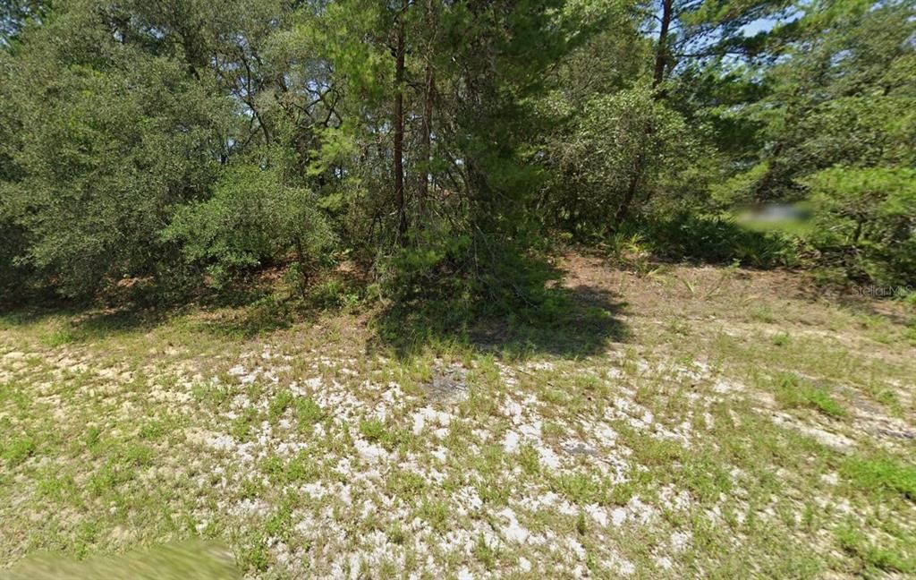 На продажу: $49,900 (0.23 acres)