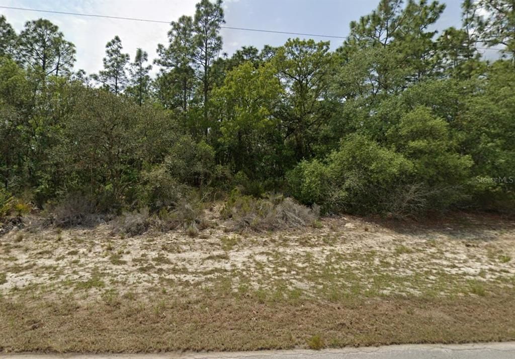 For Sale: $49,900 (0.30 acres)