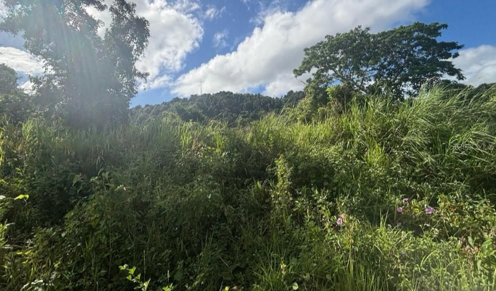 En Venta: $400,000 (27.36 acres)