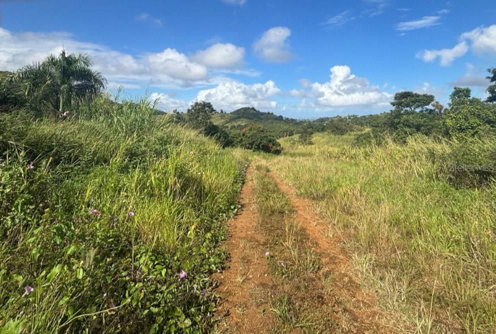 En Venta: $400,000 (27.36 acres)