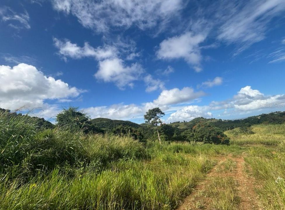 En Venta: $400,000 (27.36 acres)