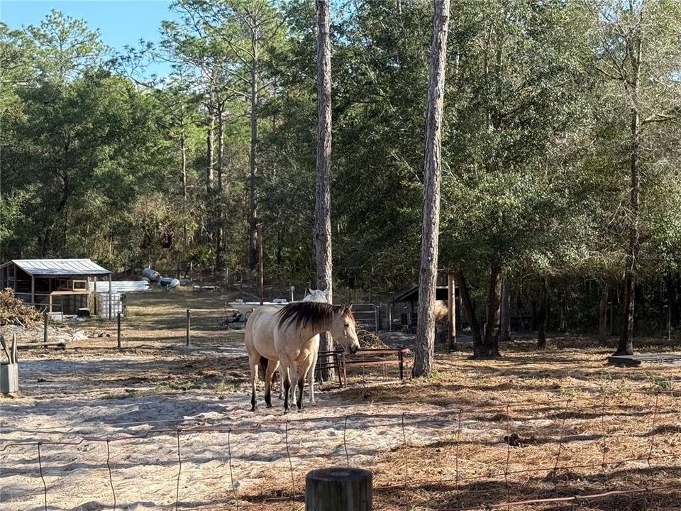 待售: $160,000 (3 贝兹, 2 浴室, 1104 平方英尺)