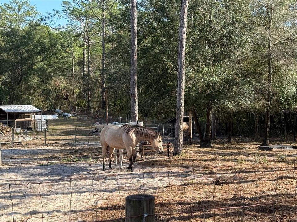 待售: $160,000 (3 贝兹, 2 浴室, 1104 平方英尺)