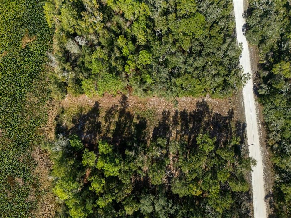 For Sale: $35,000 (0.55 acres)