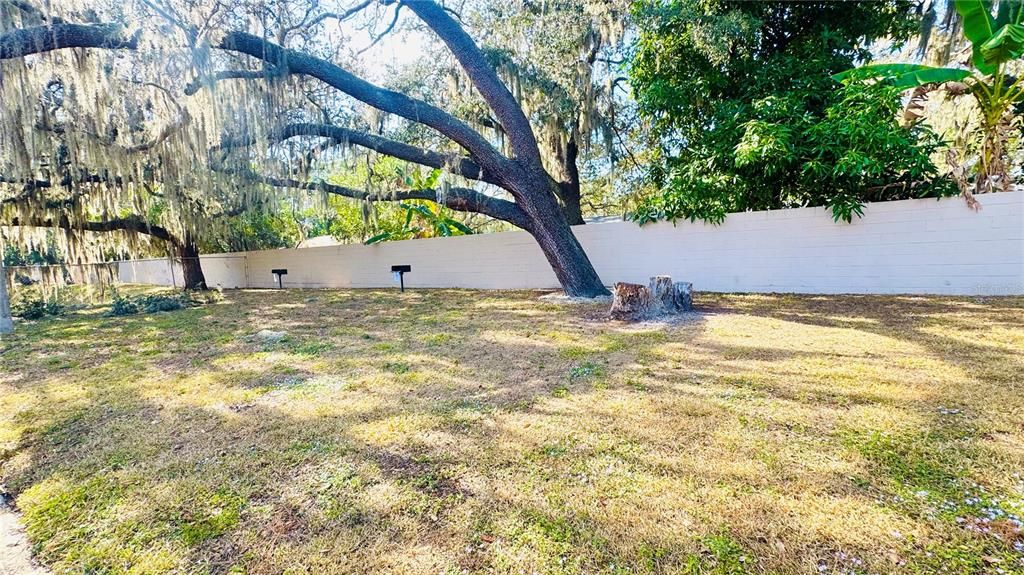 For Rent: $1,300 (1 beds, 1 baths, 707 Square Feet)