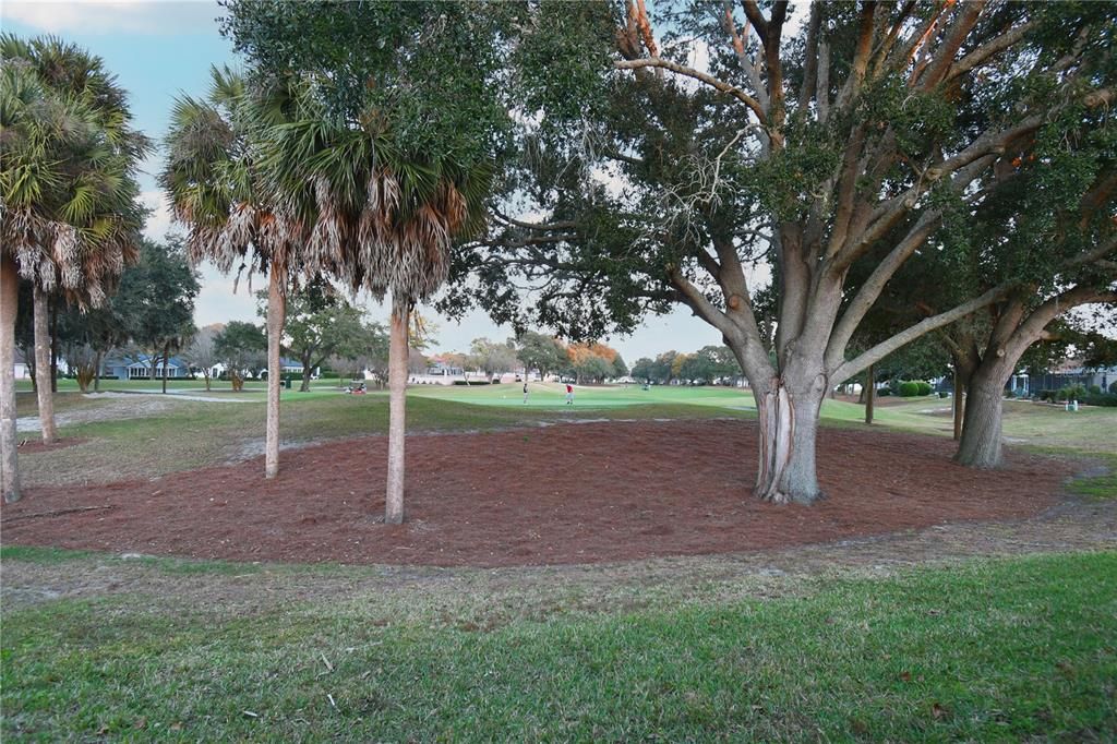 待售: $455,000 (3 贝兹, 2 浴室, 2022 平方英尺)