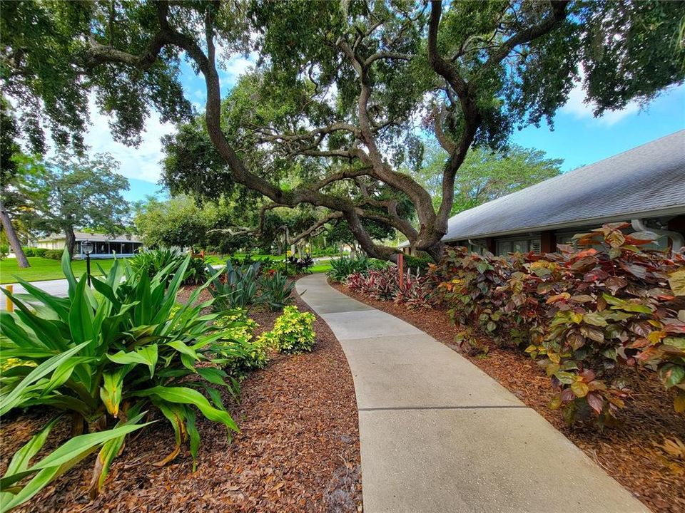 En Venta: $97,000 (2 camas, 2 baños, 978 Pies cuadrados)