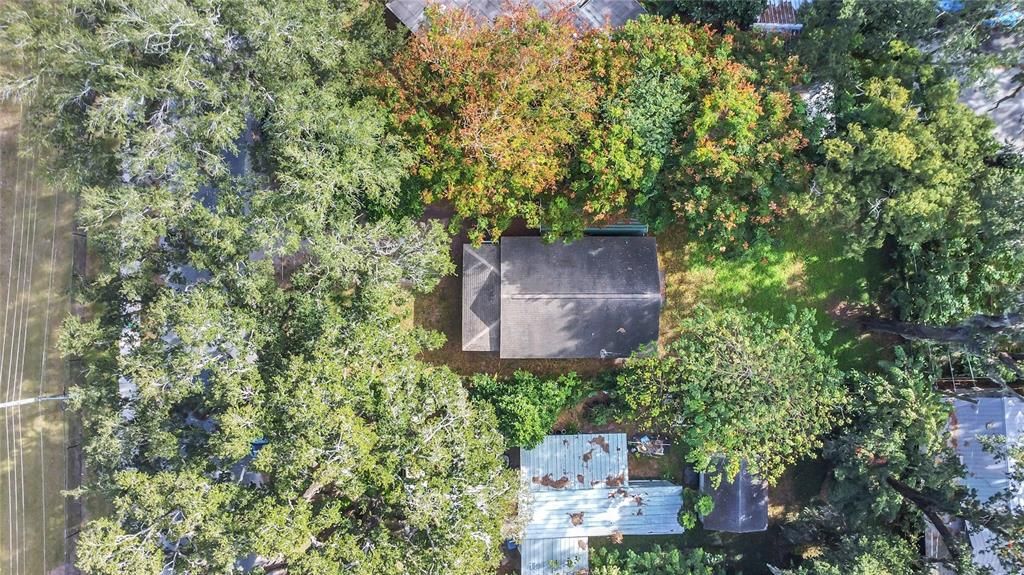 В аренду: $1,650 (2 спален, 1 ванн, 768 Квадратных фут)