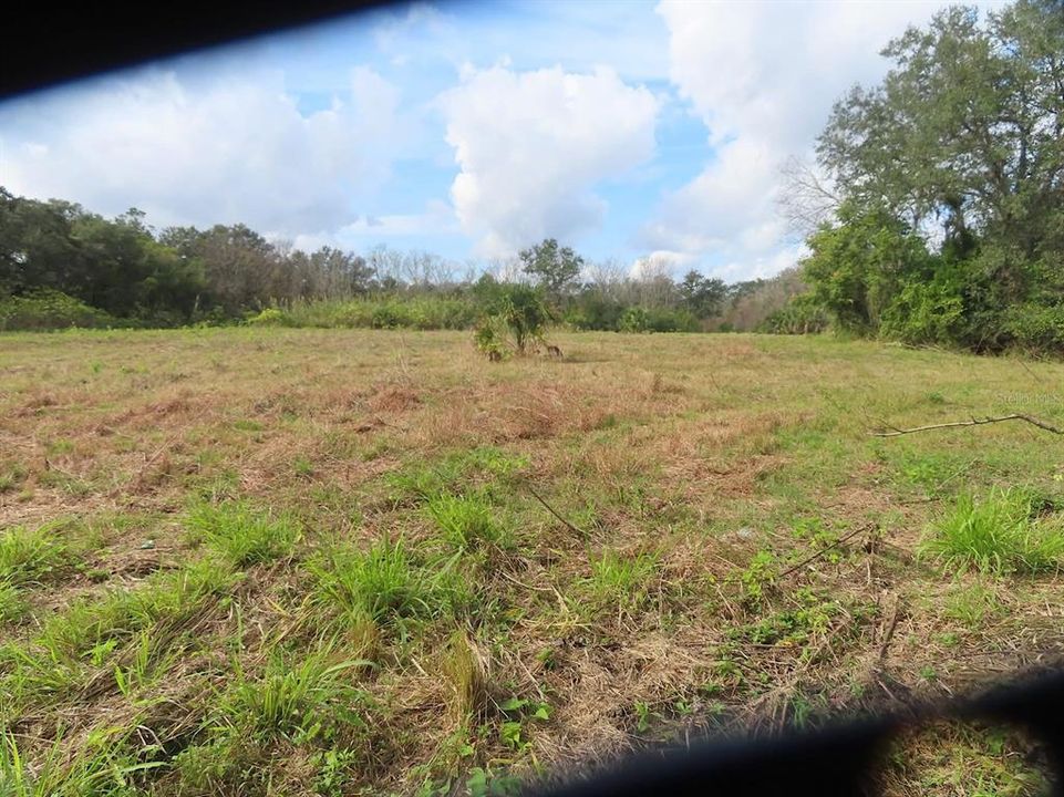 For Sale: $399,000 (4.31 acres)