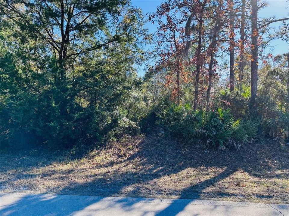 На продажу: $125,000 (10.00 acres)